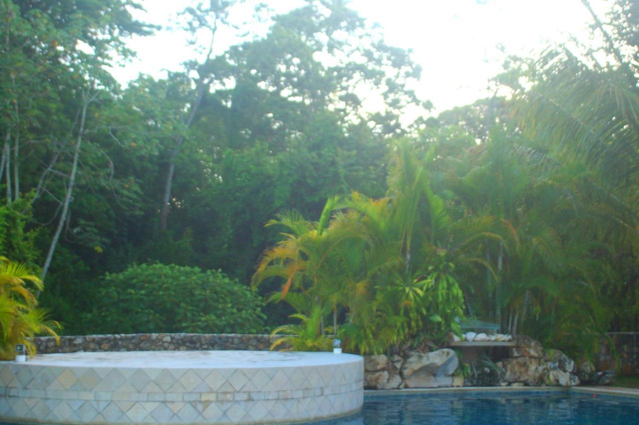 Axkan Palenque, Shows En Vivo & Gastronomia Mar Y Tierra & Travel Agency Dış mekan fotoğraf